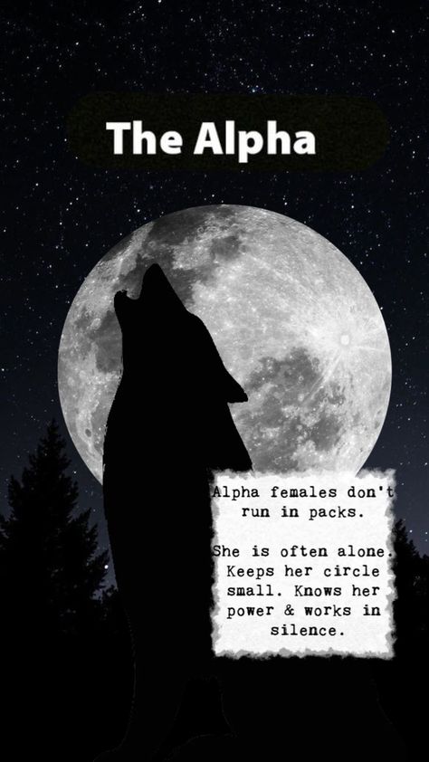 Nature, Alpha Wolf Female, Wolf Quotes Female, Female Wolf Aesthetic, Wolf Quotes Alpha, Alpha Female Aesthetic Wallpaper, Alpha Female Wallpaper, Alpha Wolf Aesthetic, Wolf Quotes Alpha Female
