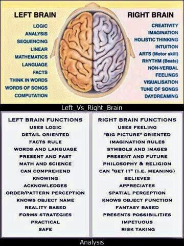 I am so right brained it is ridiculous! Left Vs Right Brain, Left And Right Brain, Left Brain Right Brain, Brain Facts, Brain Anatomy, Right Brain, Medical Knowledge, Change Management, Different Languages