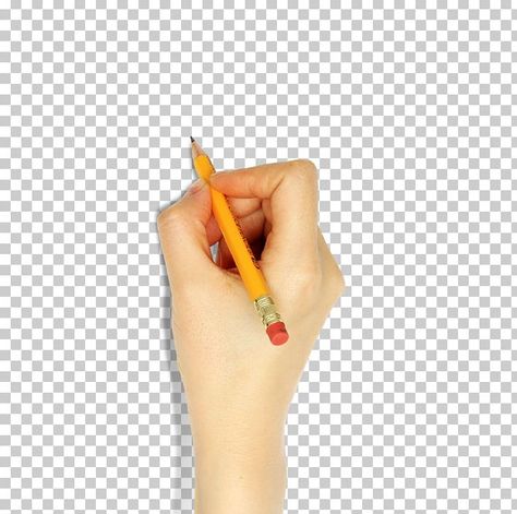 Hand Holding Something, Pencil Png, School Border, Apple Images, Cow Craft, Hand Clipart, Photoshop Tuts, Watercolor Art Face, Live Backgrounds