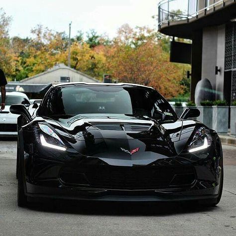 Black Corvette stingray C7 Black Panthers, Stingray Corvette, Corvette C7 Stingray, Black Corvette, Afternoon Drive, Chevrolet Corvette C7, Chevrolet Corvette Stingray, Sweet Cars, Chevy Corvette