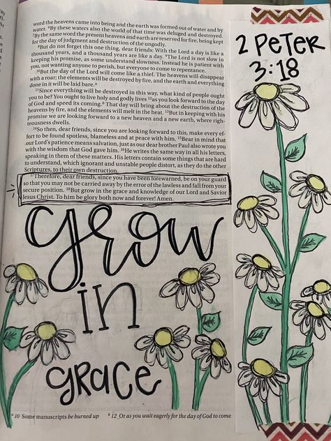 Bible Paintings, Plant Classroom, Plants Classroom, Grow In Faith, Journal Notes, Bible Journal Notes, Grow In Grace, 2 Peter, Jesus Bible