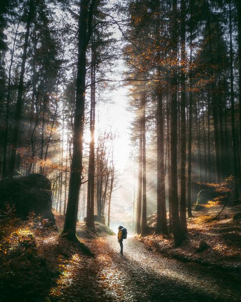 Bonito, Magical Pathways, Magic In The Air, Road Trip Places, Hiking Photography, Forest Photography, Landscape Features, Wonderful Picture, Adventure Camping