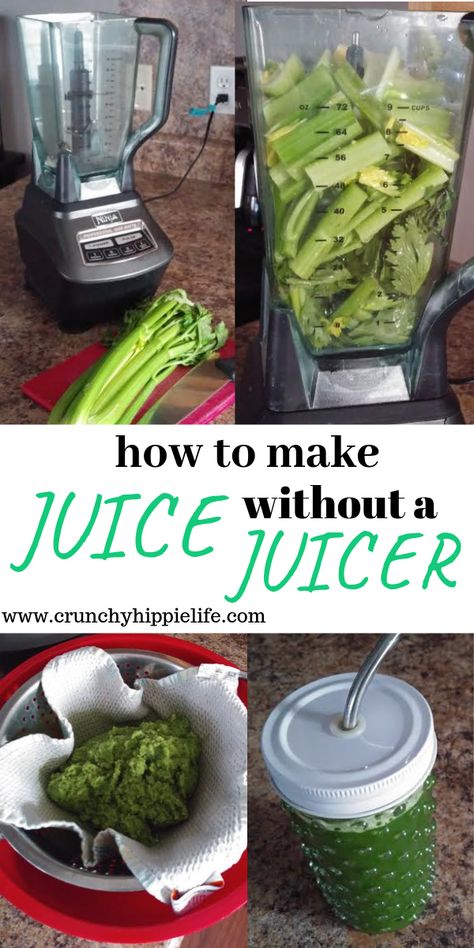 Looking to start juicing but have absolutely no idea where to start? Check out how to make fresh and refreshing juice for yourself and family! Juices To Make, Juice Without A Juicer, How To Make Juice, Healthy Blender Recipes, Nutribullet Smoothie Recipes, Vegetable Smoothies, Nut Milk Bag, Juicing Benefits, Best Smoothie Recipes