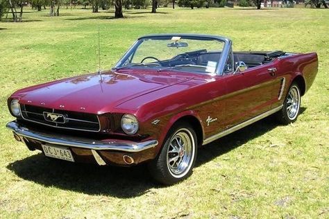 1964 Mustang, Burgundy Car, Mustang Vintage, Mustang 1964, 1965 Mustang, Old Vintage Cars, Ford Mustang Convertible, Classic Mustang, Mustang Convertible