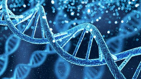 NIH researchers unlock pattern of gene activity for ADHD Genetic Diseases, Personalized Medicine, Ancestry Dna, Gene Therapy, Gene Expression, Cell Biology, Genetic Testing, Dna Test, Genetic