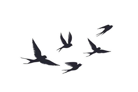 Swallow Silhouette, Flying Bird Vector, Tattoo Fly, Bird Silhouette Tattoos, Birds Silhouette, Vogel Silhouette, Flying Bird Silhouette, Sillouette Art, Silhouette Tattoo