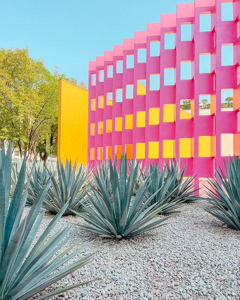 Visiting Luis Barragán's Architecture | Erika Carlock | Bohemian Lifestyle Blog Luis Barragan, Mexican Minimalism, Louis Barragan, Luis Barragan Architecture, Monochrome Palette, Entry Design, House Yard, Desert Homes, Bohemian Lifestyle