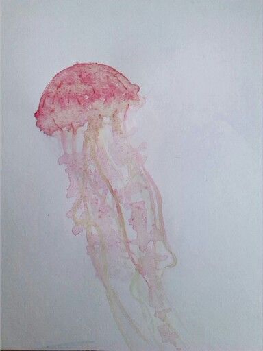 Pink Theme Painting Ideas, Pink Aesthetic Watercolor, Pink Jellyfish Tattoo, Watercolour Underwater, Paint Jellyfish, Jellyfish Watercolour, Pink Jellyfish Wallpaper, Watercolour Jellyfish, Jellyfish Pink