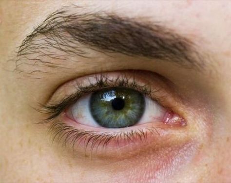 Eye Study, Eye Images, Human Reference, Color Blind, Face Reference, Male Eyes, Eye Photography, Aesthetic Eyes, Human Eye