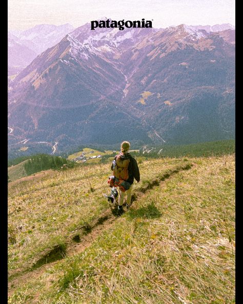 Patagonia vibes, hiking on the alps aestethic Alps Aesthetic, Patagonia Mountains, Patagonia Hiking, Patagonia Outdoor, Dorm Art, Hiking Pictures, Vintage Patagonia, Hiking Aesthetic, Adventure Aesthetic