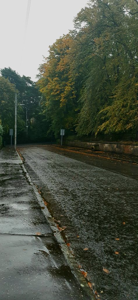 a rainy street with no people or cars it has some leaves on the ground, the trees in the background are mostly green with a few yellow leaves on the tips Rain Countryside Aesthetic, Nature, Rainy Day Lockscreen, Bright Rainy Day Aesthetic, Rainy Streets Aesthetic, Rainy Small Town Aesthetic, Rainy Street Photography, Rainy Day Wallpaper Aesthetic, Rainy Street Wallpaper