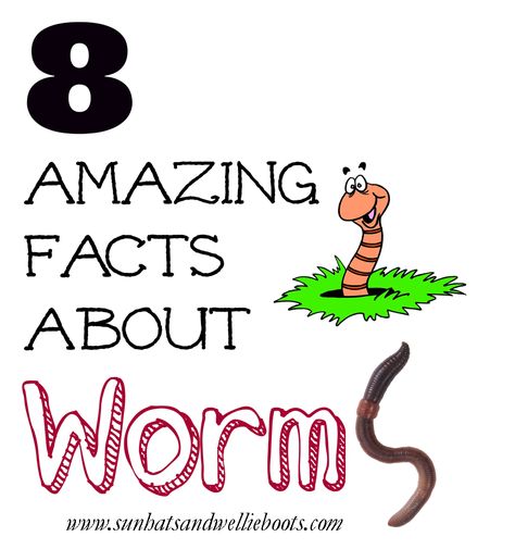 Worm Facts, Worms Preschool, Soil Activities, Worm Crafts, Preschool Creative Art, Wellie Boots, Mini Beasts, Spring School, Fun Activities For Toddlers