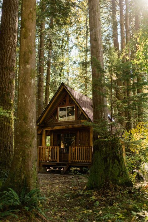 PNW Cabin Intimate Wedding on Skykomish River. Image by Forthright Photo. Pantanal, Nature, Small Town Cabin Aesthetic, Woodland Cabin Aesthetic, Small Cabin Inspiration, Cabin In Meadow, Romantic Cabin In The Woods, Deep Woods Cabin, Whimsical Cabin In The Woods