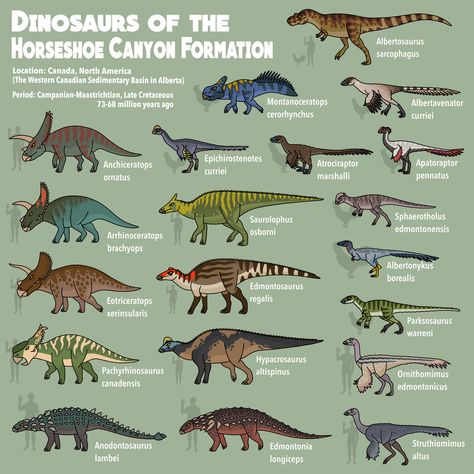 Dinosaur Art Projects, Prehistoric Planet, Dino Drawing, Animal Infographic, Real Dinosaur, Cute Dragon Drawing, Prehistoric Wildlife, Dinosaur Posters, All Dinosaurs