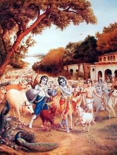 Hare Krishna Mantra Video, Hare Krishna Hare Ram, Hey Ram, Hare Krishna Mantra, Iskcon Krishna, Krishna Gif, Krishna Avatar, Krishna Leela, Krishna Bhagwan