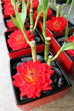 Japanese Centerpiece Ideas on Pinterest | 36 Images on proverbs, diy … Bamboo Centerpieces, Diy Flower Projects, Arreglos Ikebana, Chinese Party, Japanese Party, Asian Party, Chinese Theme, Bamboo Decor, Chinese New Year Decorations