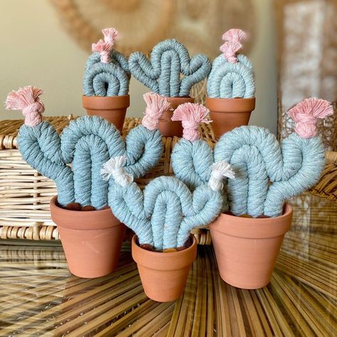 Cactus Shapes, Macrame Succulent, Cactus Macrame, Macrame Cactus, Potted Cactus, Terra Cotta Clay Pots, Small Cactus, Mini Cactus, Succulents Decor