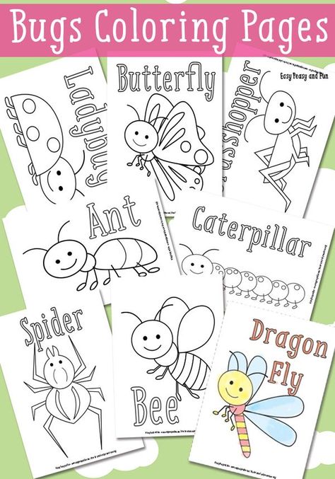 Bugs Coloring Pages, Coloring Pages Easy, Bug Coloring Pages, Insect Coloring Pages, Bug Activities, Insects Preschool, Bugs Preschool, Insect Crafts, Insects Theme