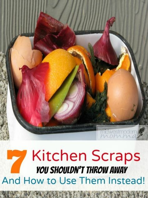 7 Kitchen Food Scraps You Should Never Throw Away Regrow Celery, Kitchen Scraps, Zero Waste Kitchen, Food Scraps, Reduce Food Waste, Fresh Fish, Kitchen Food, Throw Away, Kitchen Tips