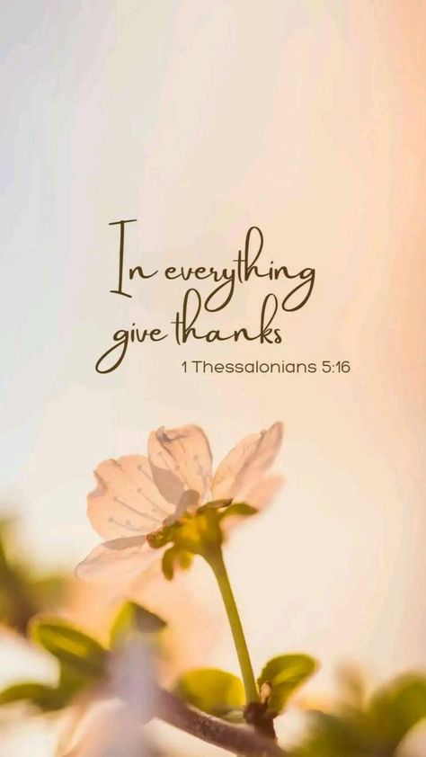 Cute Bible Verses, Thanking God, 1 Thessalonians 5 16, Christian Quotes Wallpaper, Cute Bibles, Bible Verse Background, Thankful Quotes, Comforting Bible Verses, Bible Words Images