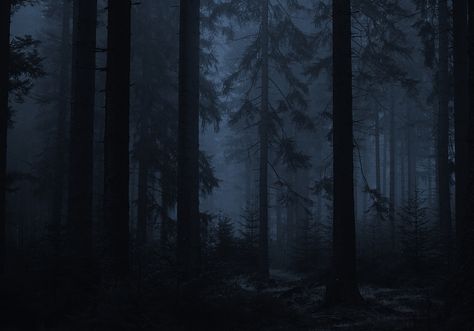 Croquis, Creepy Woods, Moody Wallpaper, Random Image, Dark Naturalism, Dark Forest Aesthetic, Indie Photography, Forest Background, Christian Artwork