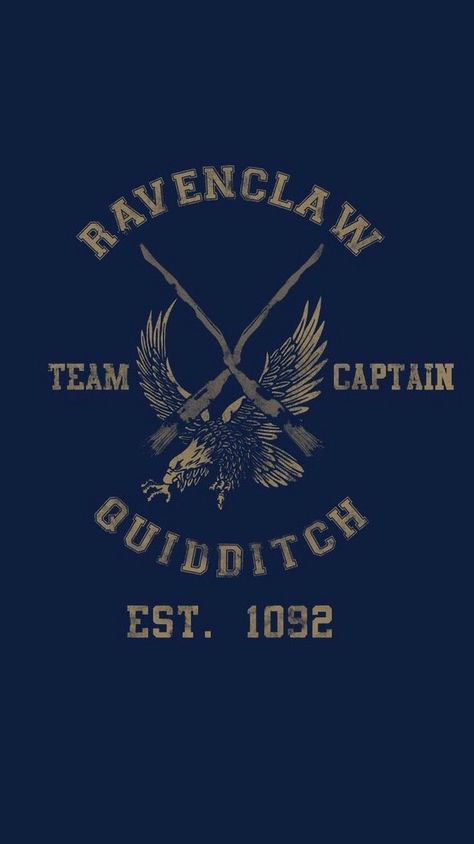 Ravenclaw Quidditch iPhone 5 wallpaper Fan Art Harry Potter, Ravenclaw Quidditch, Wallpaper Harry Potter, Art Harry Potter, Ravenclaw Pride, Tapeta Harry Potter, Ravenclaw Aesthetic, Harry Potter Background, Theme Harry Potter