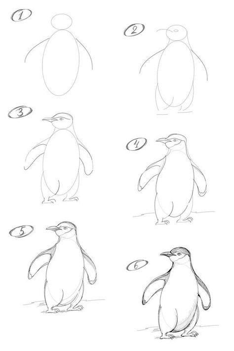 Penguin Drawing Easy, Neck Outline, Draw A Penguin, Animal Sketches Easy, Art Of Drawing, Penguin Drawing, Arte Aesthetic, Nature Art Drawings, Siluete Umane