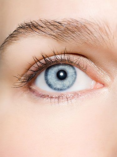 7 New Ways to Keep Your Vision Sharp  Read more: How to Protect Your Eyes - How to Have Good Eyesight - Woman's Day Move over, carrots Good Eyesight, Gold Shades, Under Eye Wrinkles, Smoky Eyes, Healthy Eyes, Body Hacks, Keeping Healthy, Eye Health, Fair Skin