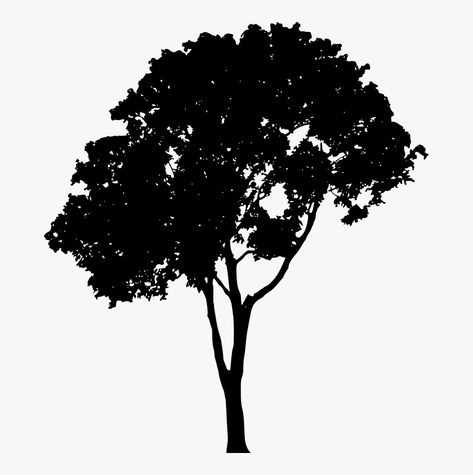 Tree Plan Png, Tree Vector Png, Oak Tree Silhouette, Landscape Architecture Presentation, Silhouette Architecture, Digital Art Supplies, Flower Border Png, Tree Photoshop, Tree Silhouettes