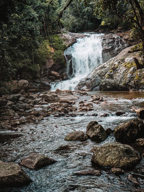 Lakkam Waterfalls Munnar | Best waterfalls in Munnar | Munnar waterfalls | Tourist places in Munnar | Places to visit in Munnar | Things to do in Munnar | Munnar bucket list | Where can you swim in Munnar | #munnar #lakkam Munnar Waterfalls, Munnar Photography Travel, Munnar Aesthetic, Munnar Photography Kerala, Kerala Waterfalls, Munnar Photography, Munnar Trip, Travel Guide Book Design, Bharatanatyam Poses