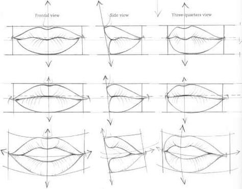 The Mouth analysis and structure - Fashion Design - Joshua Nava Arts How To Draw Lips, Draw Lips, Beautiful Pencil Drawings, Lip Drawing, Mouth Drawing, 얼굴 그리기, Lips Drawing, Seni Cat Air, Lukisan Cat Air