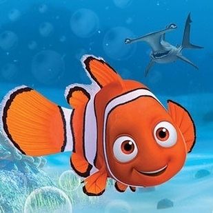 Alexander Gould (aka Shane Botwin) as Nemo | 35 Cartoons You Never Realized Were Voiced By Celebrities Finding Nemo, Dory Characters, Dory Nemo, Disney Finding Nemo, Images Disney, Disney Favorites, Pixar Movies, Classic Cartoons, Cartoon Movies
