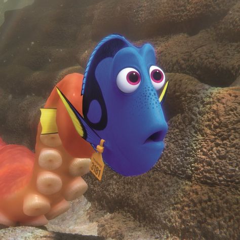 Finding Dory Aesthetic, Dory Aesthetic, Finding Nemo Meme, Disney Characters Icons, Nemo Movie, Finding Nemo Dory, Dory Birthday Party, Dory Fish, Dory Finding Nemo