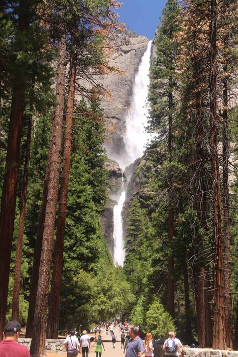 The Upper and Lower Yosemite Falls seen together from the famous trail to its base Nature, Vernal Falls Yosemite, Yosemite Waterfalls, Yosemite Lodging, Waterfall Scenery, Bigfoot Art, Yosemite Trip, Vernal Falls, Cali Trip