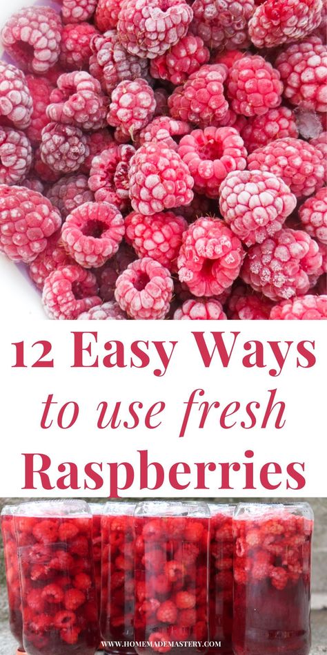 Here are 12 things to do with fresh raspberries when these tasty fruits are in season again and you've got lots of them, too many to handle! Including a few ways to preserve them and delicious raspberry recipes! Raspberries Recipes Healthy, Ways To Preserve Raspberries, How To Use Fresh Raspberries, What To Do With Fresh Picked Raspberries, Ideas For Raspberries, Berry Preserves Recipes, Things To Do With Fresh Raspberries, Fresh Raspberry Recipes Easy, Healthy Raspberry Recipes Clean Eating