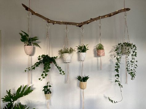 Stick Plant Hanger, Macrame Plant Hanger On Stick, Fairy Lights And Plants, Wooden Sticks Diy Decor, Fairy Apartment, Plants And Fairy Lights, Garden Hanging Plants, Indoor Fairy Lights, Macrame Plant Wall