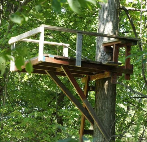 Tree Stand Homemade Tree House, Hunting Blinds Homemade, Tree Stand Ideas, Homemade Tree Stand, Homemade Deer Blinds, Tree Stand Hunting, Deer Blind Plans, Deer Hunting Stands, Deer Blinds