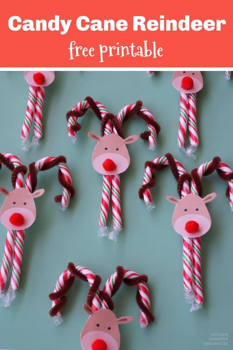 How cute are these candy cane reindeer? A super simple reindeer craft to A super cute and easy to make candy cane reindeer craft. Complete with the free printable reindeer faces. Make a candy cane Rudolph and the whole reindeer team #candycanereindeer #reindeercraft #rudolphcraft #christmascraft #ediblegift #christmasgift #homemadegift #kitchencounterchronicles Natal, Candy Cane Reindeer Ornaments, Candy Cane Rudolph Reindeer, Christmas Crafts With Candy Canes, Candy Cane Ideas Christmas, Winter Candy Grams, Candy Cane Reindeer Craft For Kids, Christmas Grams Fundraiser, Christmas Candy Grams Fundraiser