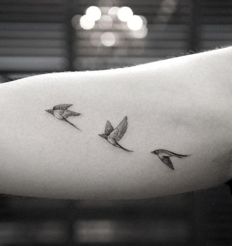 Small flying birds tattoo for girl - 110 Lovely Bird Tattoo Designs Bicep Bird Tattoo Women, Swallow Tattoos, Tattoo Birds, Swallow Tattoo Design, Bird Tattoos Arm, Swallow Bird Tattoos, Little Bird Tattoos, Tiny Bird Tattoos, Bird Tattoos For Women