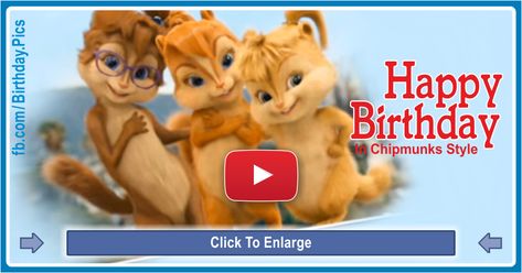 Chipmunks Happy Birthday Song video which has become a famous phenomenon on the Internet ... I want to say "Happy Birthday" to you by this cute and funny video. For your birthday and the whole year, you get as cheerful and fun as the birthday song. Happy Birthday Song Funny, Happy Birthday Song Download, Funny Happy Birthday Gif, Happy Birthday Song Video, Happy Birthday Wishes Song, Happpy Birthday, Birthday Songs Video, Birthday Wishes Songs, Birthday Wishes Gif