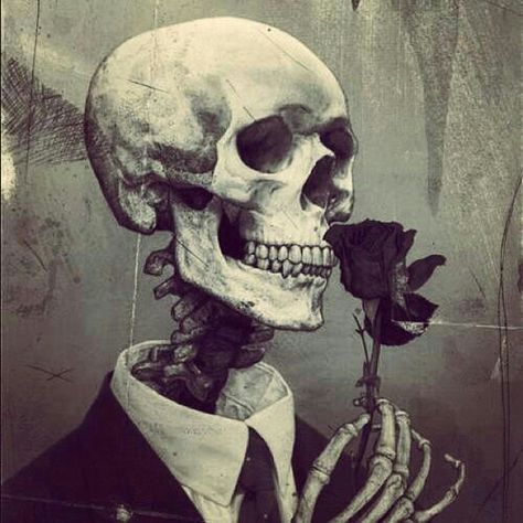 Smell the rose Tachisme, Gothic Art, Art And Illustration, Dark Flowers, Skeleton Art, A Skeleton, Skulls And Roses, Flower Skull, Arte Horror