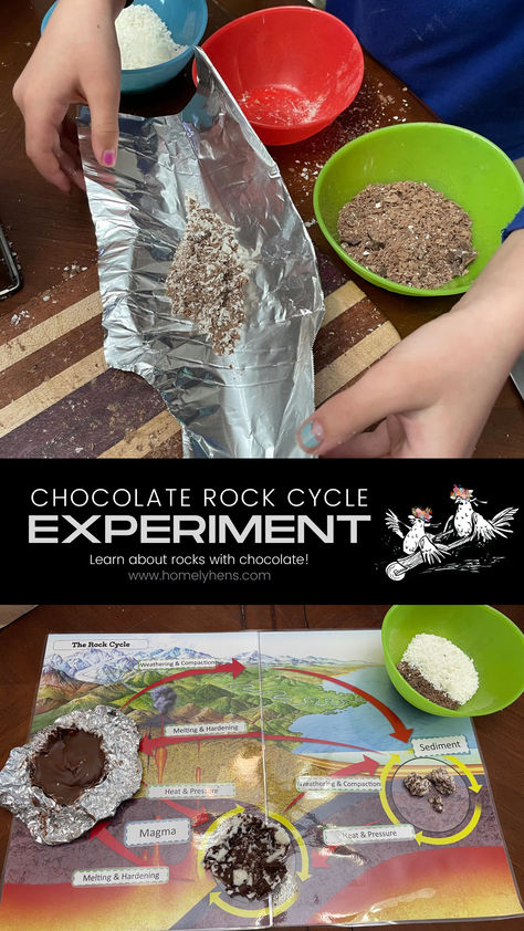 Nature, 2nd Grade Rock Activities, Rock Types Activities, Geology Science Fair Projects, Montessori Rock Activities, Edible Rock Cycle, Rock Cycle Project Ideas, Types Of Rocks Project, 3rd Grade Montessori