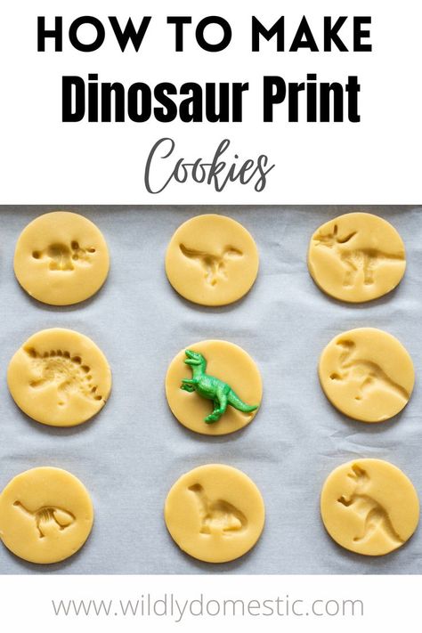 Fossil Cookies, Dinosaur Birthday Party Food, Dinasour Birthday, Dinosaur Party Food, Birthday Party Dinosaur, Dinosaur Food, Dinosaur Birthday Theme, Dinosaur Birthday Party Decorations, Dinosaur Cookies