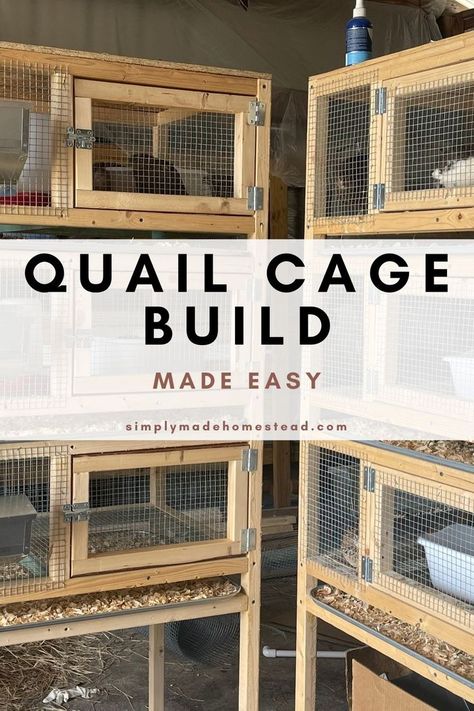 quail cage build made easy, step by step instructions, material list and cut list included Capoeira, Quail Pen, Quail House, Quail Cage, Button Quail, Quail Coop, Homesteading Animals, Raising Quail, Meat Rabbits