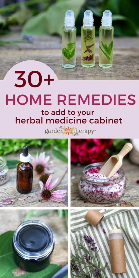 Home Herbal Remedies, Herbal Medicine Recipes Diy, How To Make Herbal Medicines, Old Fashion Remedies, Diy Herbal Medicine, Small Space Apothecary, Inflamed Taste Buds Remedy, Herbal Potions Recipes, Mullein Leaf Tincture