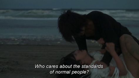 "who cares about the standards of normal people?" passionate exclaim written in subtitles as a couple wrangles on a dark beach, movie unknown Moment Quotes, Cinema Quotes, Movie Lines, Normal People, Film Quotes, Personal Quotes, Cinematic Photography, Who Cares, Film Aesthetic