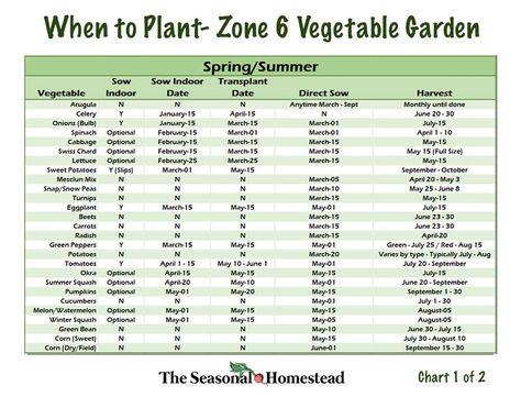 When to Plant Vegetables in Zone 6 - The Seasonal Homestead Planting Chart For Vegetables Zone 6, What To Plant In April Zone 6, 6b Planting Calendar, Growing Calendar Zone 6, What To Plant In The Spring, Gardening In Zone 6, When To Plant Vegetable Garden In Zone 6, Zone 6 Fall Planting, Zone 6 Fall Vegetable Garden