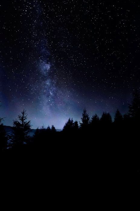 Atmospheric shot of a star filled sky over a forest at night Starry Night Background, Space Wallpapers, Night Landscape Photography, Desen Realist, Wallpaper Sky, Night Sky Photography, Night Sky Wallpaper, Night Background, Night Pictures