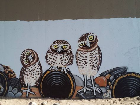 Owl Mural, Burrowing Owls, Sharp Shinned Hawk, Elephant Seal, Burrowing Owl, King Penguin, Barred Owl, Owl Lovers, Basement Decor