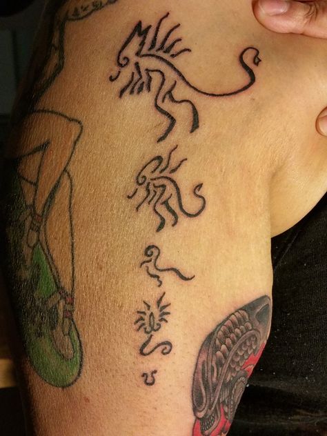 Alien Life Cycle Tattoo. By Joseph Osbourne @ Aces High Tattoo. Small Xenomorph Tattoo, Life Cycle Tattoo Ideas, Xenomorph Tattoo Ideas, Hypnotoad Tattoo, Yautja Tattoo, Simple Spongebob Tattoo, Avp Tattoo, Alien Xenomorph Tattoo, Alien Movie Tattoo